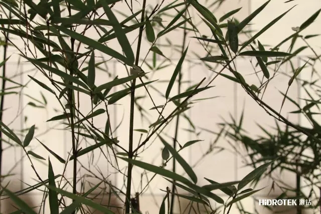 633693684de1a.jpg 3.jpg